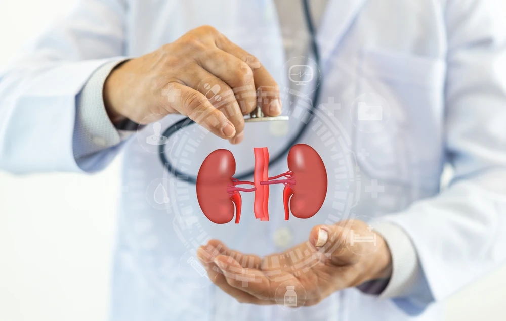 Kidney Biopsy: Why Precision Diagnosis Matters
